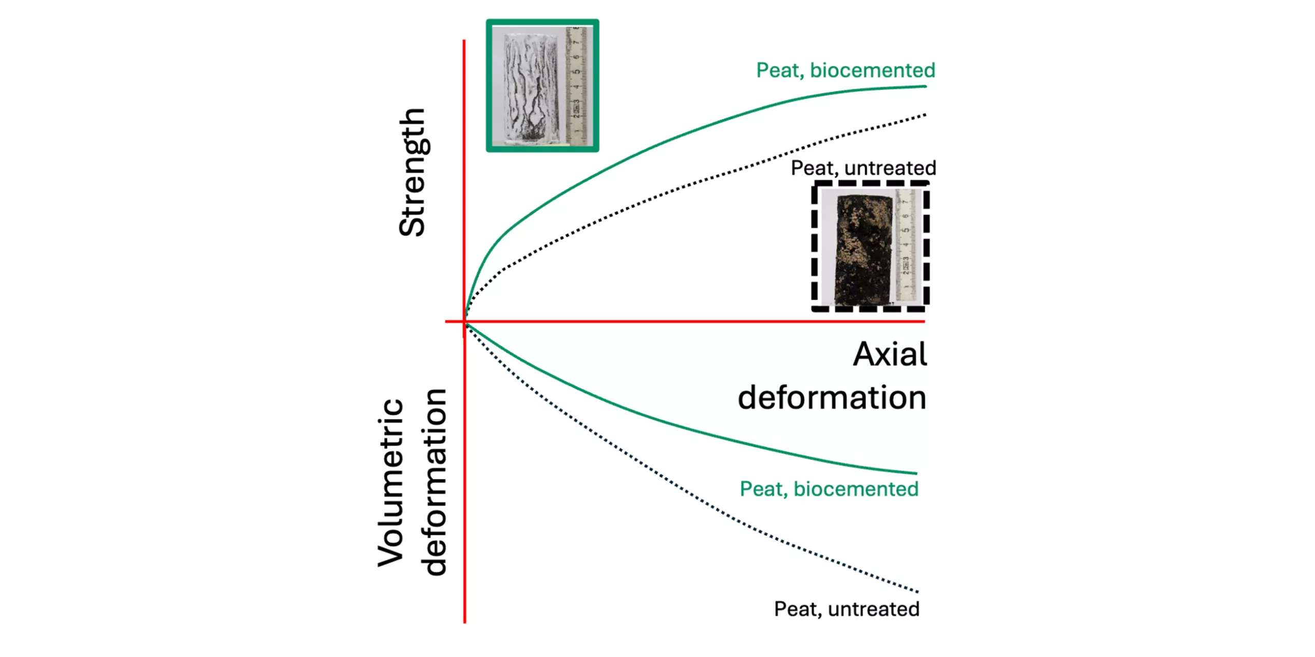 Graphique comparant les sols tourbeux non traités et biocémentés, montrant une résistance accrue et une déformation volumétrique réduite après traitement.